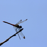 茜色と青空