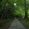静寂な時の中で