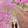 花の駅「ごうど」