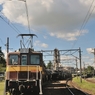 77192343