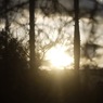 夕陽