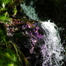 小滝