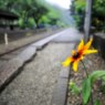 片隅の主賓