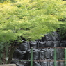 傷跡