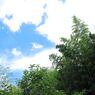 夏の輝き