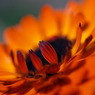 P1190594