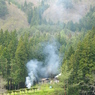 IMGP2698