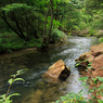 湯川3