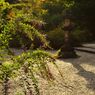 円成寺_02