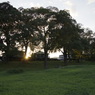 useing@