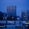眠らない街・蒼い夜