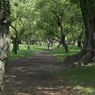 useing@