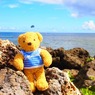 海の男っぽい？
