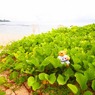 ここにいるよ。ここですぞ～