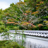 芳徳寺_02