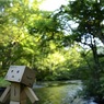 リフレッシュダンボー