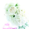 f  l  o  w  e  r