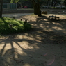 useing@