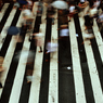 steps
