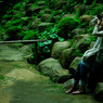 Scenery where You are