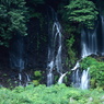 白糸の滝（７）