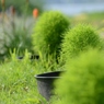 緑濃淡
