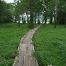 IMGP0877