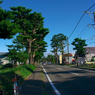 IMGP0905
