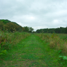 IMGP1039