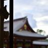 _DSC0162