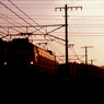 夕日を浴びて走る貨物列車