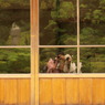 大好きなひとと。