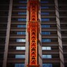 進化する都市