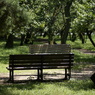 useing@