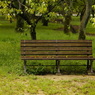 useing@