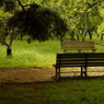 useing@