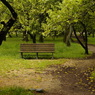 useing@