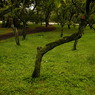 useing@
