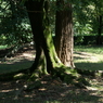 useing@