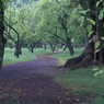 useing@