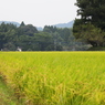 守り神