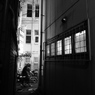 #13 Niche
