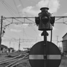 77092353