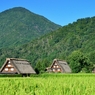 晩夏の山里 