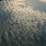 空