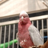 DSC_1550