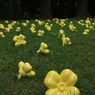 Flowers(2012)「We are here!」