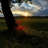 Afterglow road