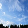 DSC00682