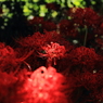 DPP_0060